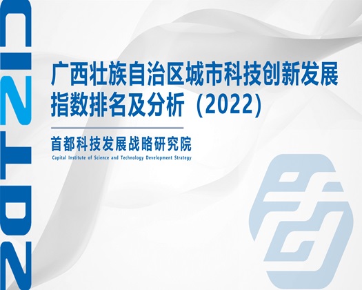 大鸡八插入【成果发布】广西壮族自治区城市科技创新发展指数排名及分析（2022）